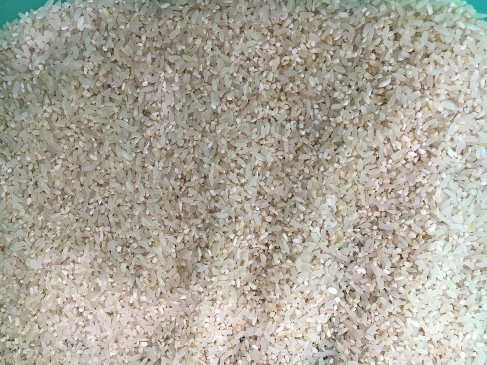 Nguyên liệu gạo đầu vào máy tách màu (máy bắn màu)